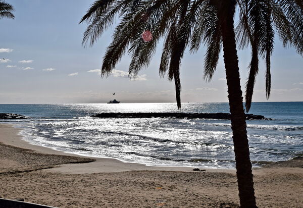 Casa Amare by Geco Vacation Rentals: Activities, Autumn, Building Exterior, Outdoor, Spring, Summer