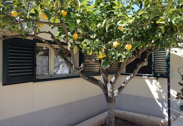 Villa Andrea: Autumn, Balcony / Terrace / Patio, Garden, Outdoor, Spring, Summer