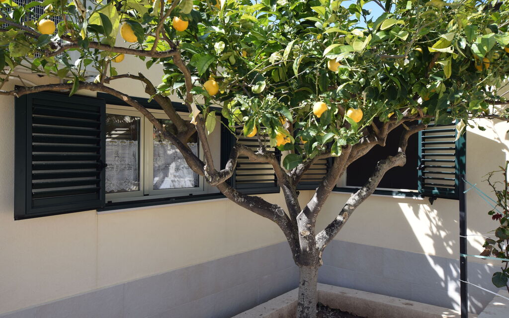 Villa Andrea: Autumn, Balcony / Terrace / Patio, Garden, Outdoor, Spring, Summer