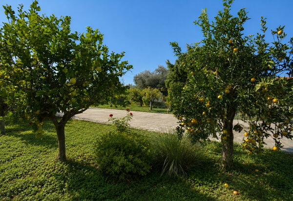 Villa Mameli: Autumn, Garden, Spring, Summer