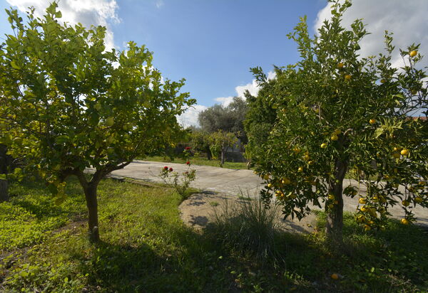 Villa Mameli: Autumn, Garden, Outdoor, Spring, Summer