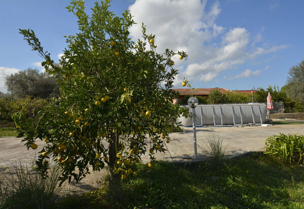 Villa Mameli: Autumn, Garden, Spring, Summer