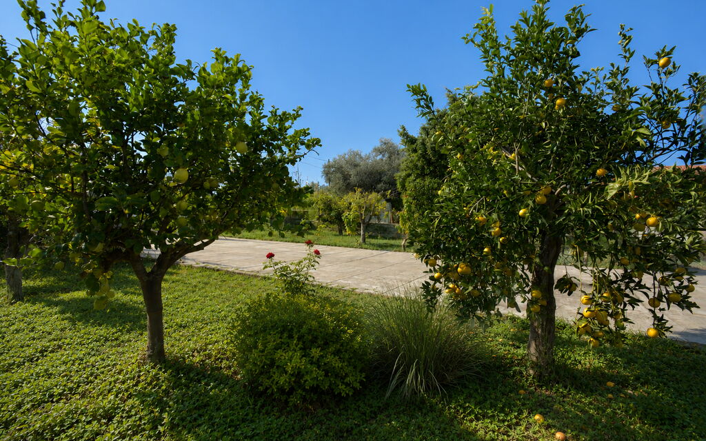 Villa Mameli: Autunno, Estate, Giardino, Primavera