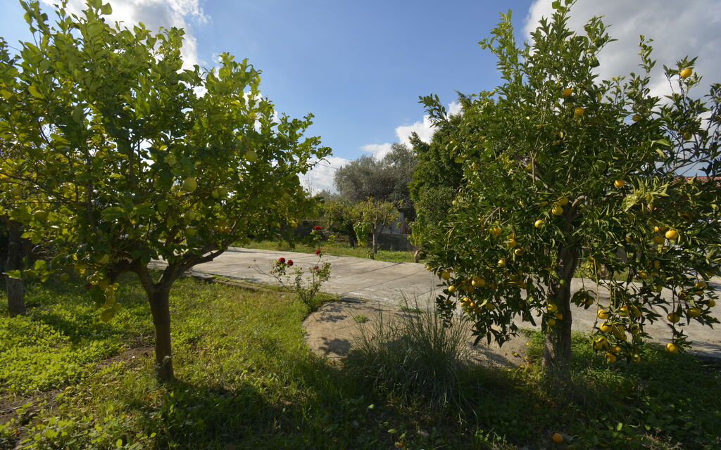 Villa Mameli: Autumn, Garden, Outdoor, Spring, Summer