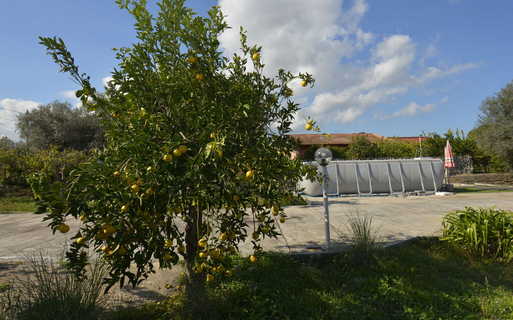 Villa Mameli: Autumn, Garden, Spring, Summer