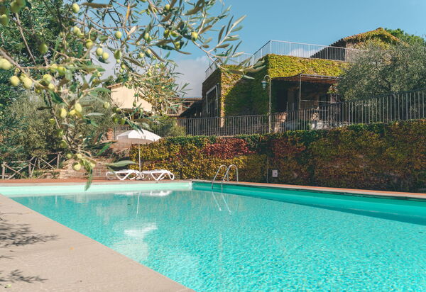 House in the Woods, Pool and Relax in Umbria: Autumn, Pool, Spring, Summer
