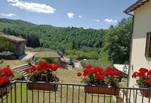 House in the Woods, Pool and Relax in Umbria