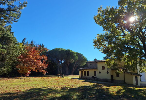 House in the Woods, Pool and Relax in Umbria