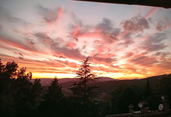 House in the Woods, Pool and Relax in Umbria