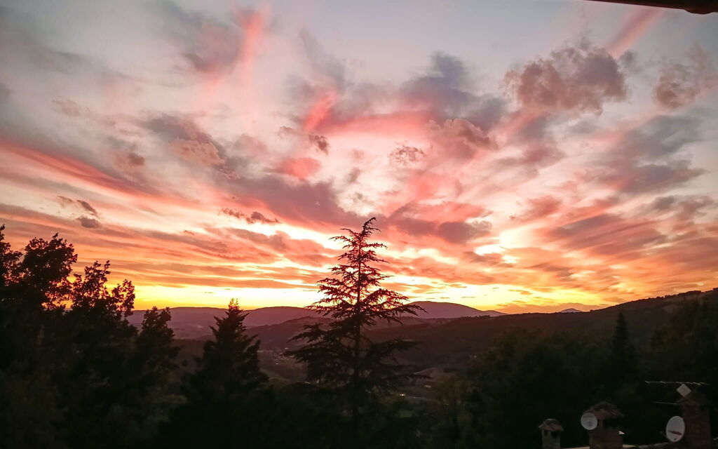 House in the Woods, Pool and Relax in Umbria
