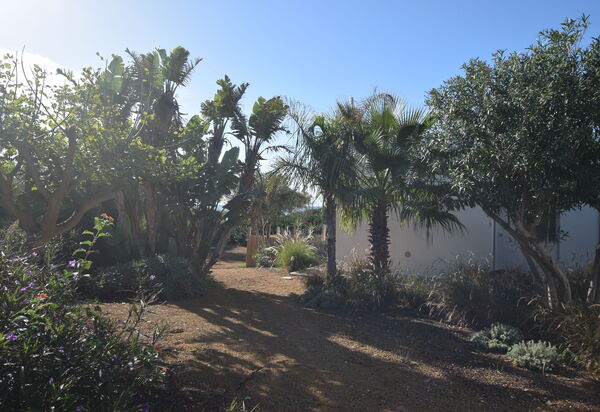 Punta Braccetto Fronte Mare: Autunno, Estate, Giardino, Primavera