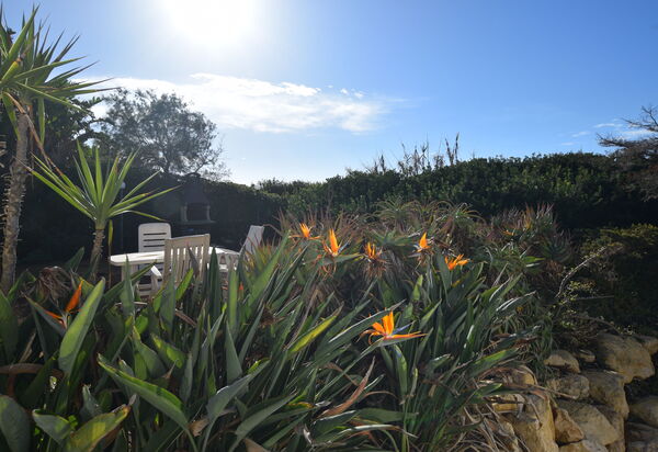 Punta Braccetto Fronte Mare: Autunno, Estate, Giardino, Primavera