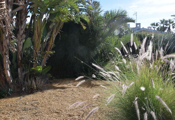 Punta Braccetto Fronte Mare: Autunno, Estate, Giardino, Primavera