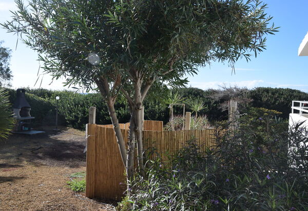 Punta Braccetto Fronte Mare: Autunno, Estate, Giardino, Primavera