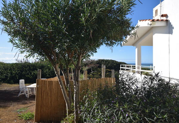 Punta Braccetto Fronte Mare: Autunno, Estate, Giardino, Primavera