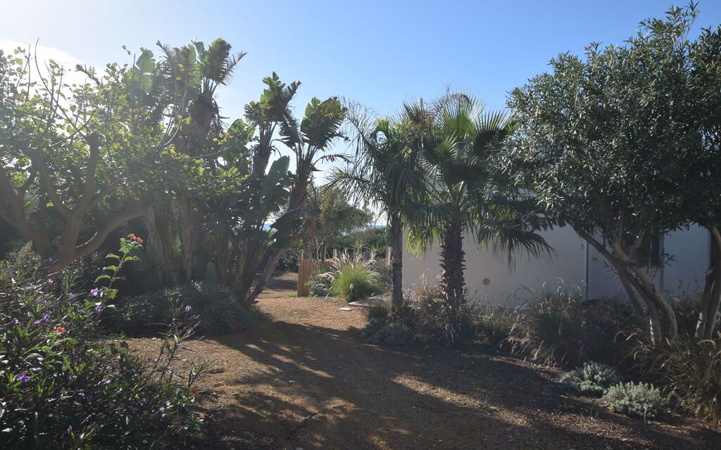 Punta Braccetto Fronte Mare: Autunno, Estate, Giardino, Primavera