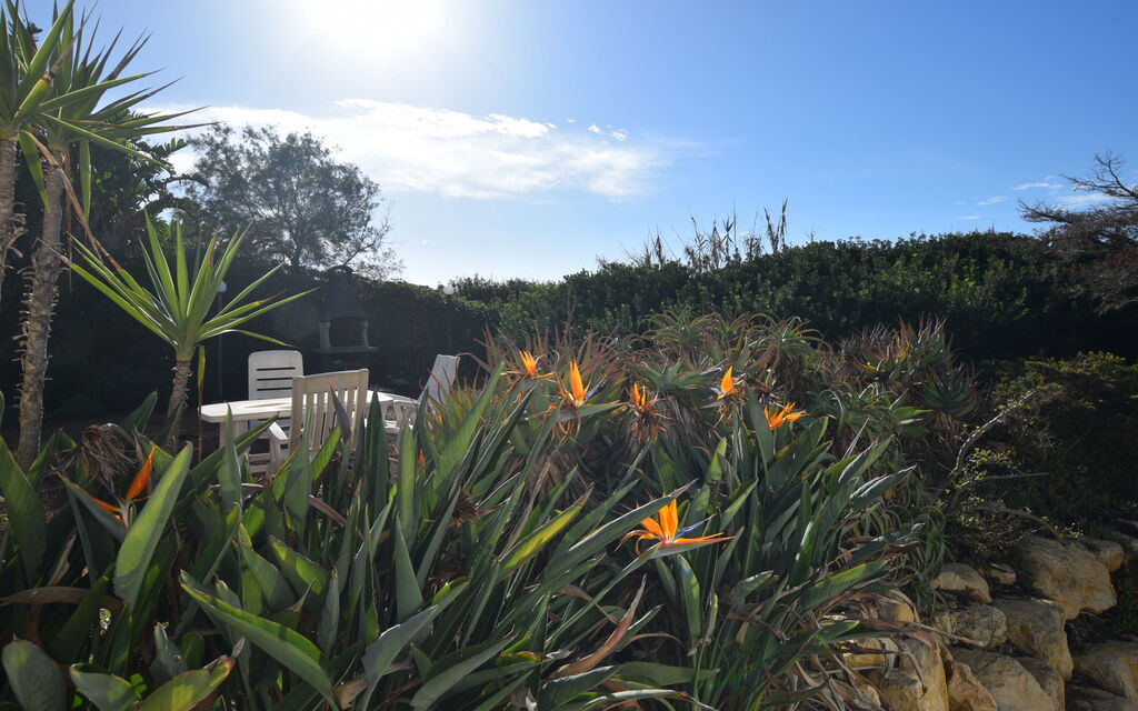 Punta Braccetto Fronte Mare: Autunno, Estate, Giardino, Primavera