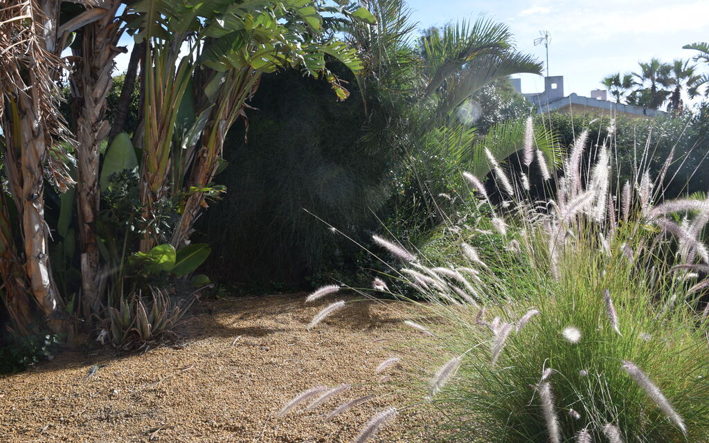 Punta Braccetto Fronte Mare: Autunno, Estate, Giardino, Primavera