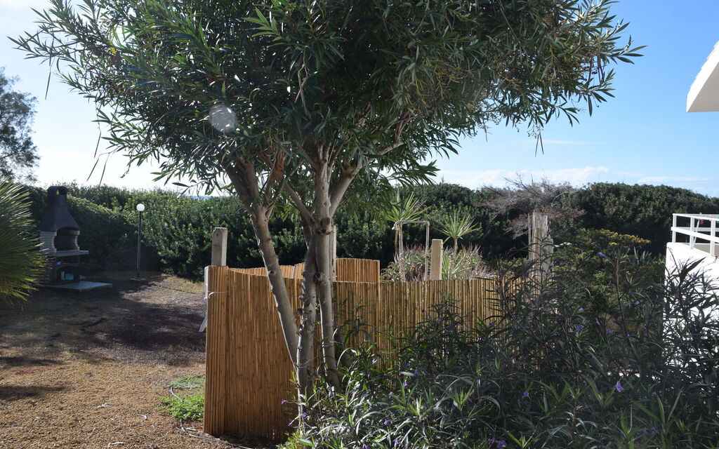 Punta Braccetto Fronte Mare: Autunno, Estate, Giardino, Primavera