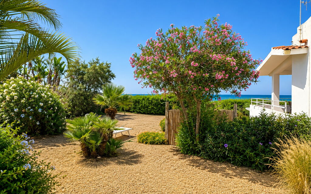 Punta Braccetto Fronte Mare: Autunno, Balcone / Terrazza / Patio, Estate, Esterni, Giardino, Primavera