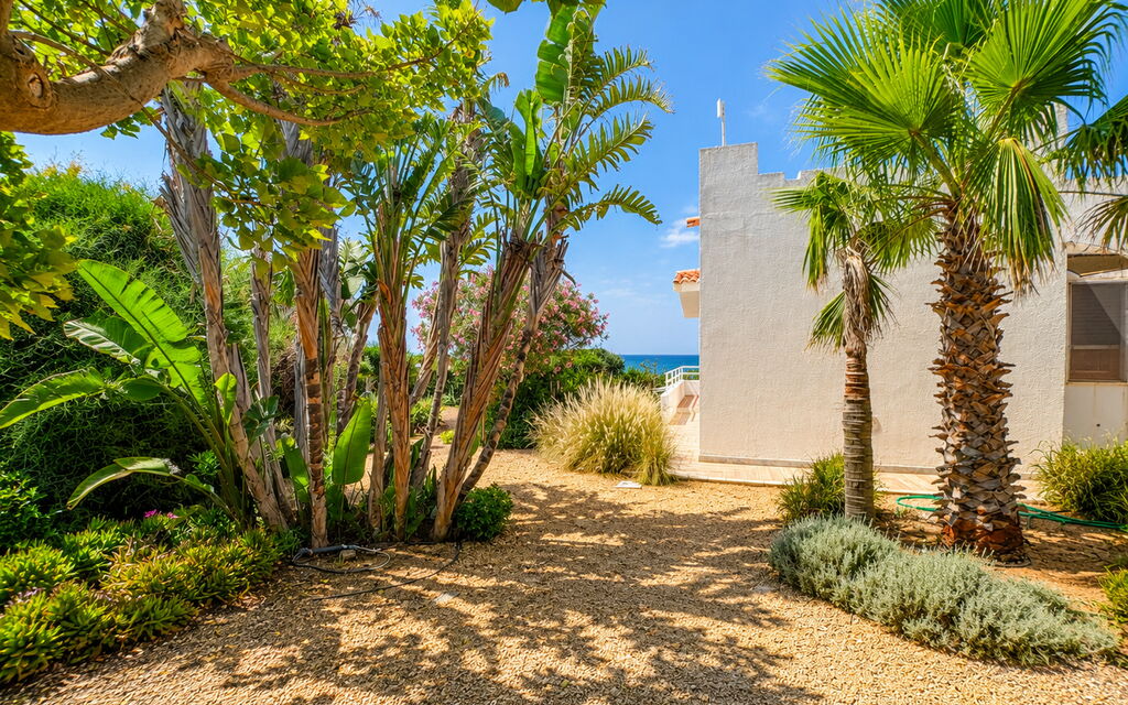 Punta Braccetto Fronte Mare: Autunno, Balcone / Terrazza / Patio, Estate, Esterni, Giardino, Primavera
