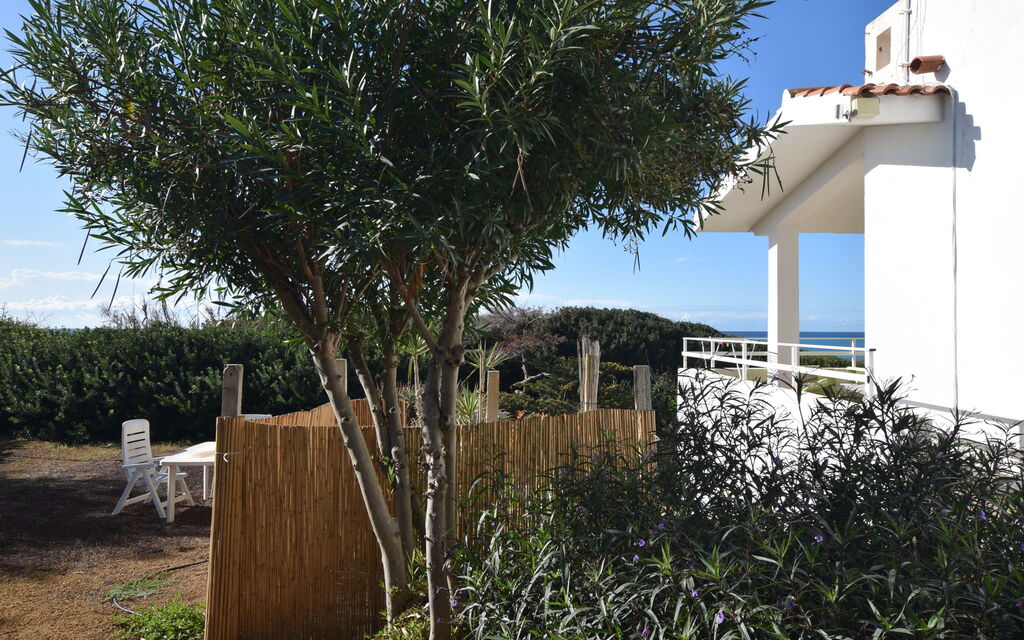 Punta Braccetto Fronte Mare: Autunno, Estate, Giardino, Primavera