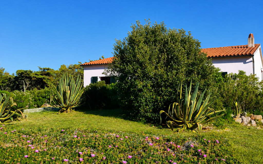 Villa Vignola: Autunno, Estate, Giardino, Primavera