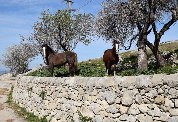 Casa Goel: Autumn, Building Exterior, Outdoor, Spring, Summer