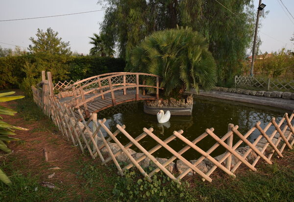 Il Cigno Reale Green: Autumn, Garden, Spring, Summer
