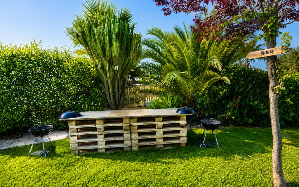 Il Cigno Reale Green: Autunno, Estate, Giardino, Primavera