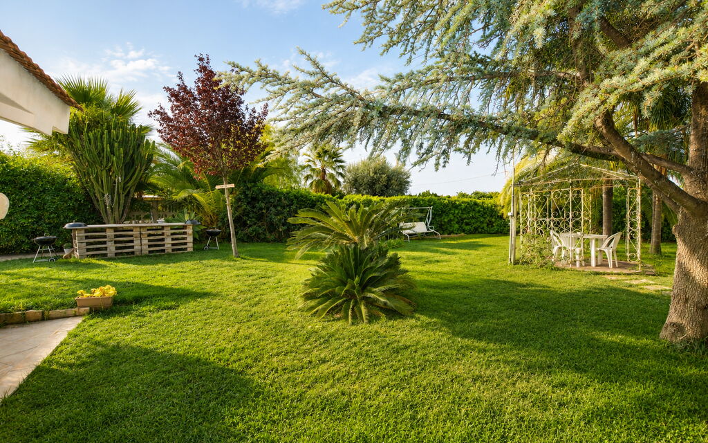 Il Cigno Reale Green: Autunno, Estate, Giardino, Primavera