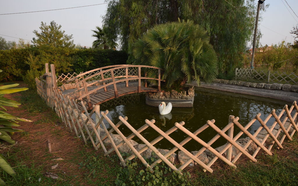 Il Cigno Reale Green: Autunno, Estate, Giardino, Primavera