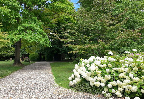 Villa Dorina: Autumn, Building Exterior, Garden, Outdoor, Spring, Summer, Winter