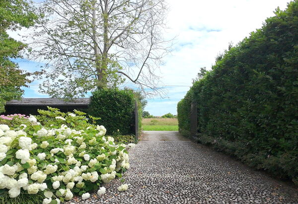 Villa Dorina: Autumn, Garden, Spring, Summer