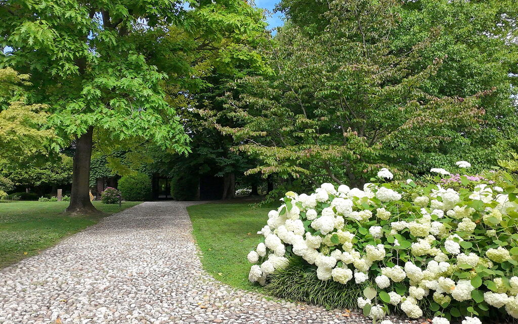 Villa Dorina: all'aperto, Autunno, Estate, Esterni, Giardino, Inverno, Primavera