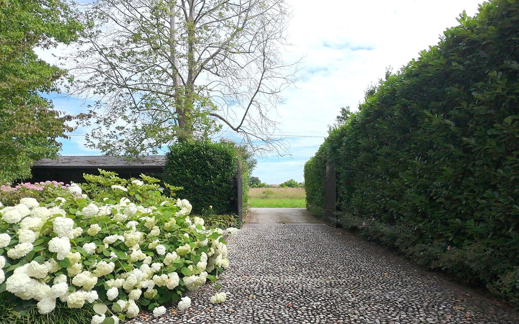 Villa Dorina: Autunno, Estate, Giardino, Primavera