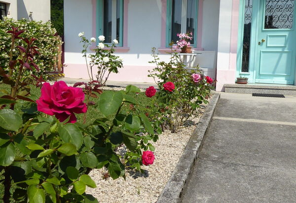 Casa Mis: Autumn, Garden, Spring, Summer