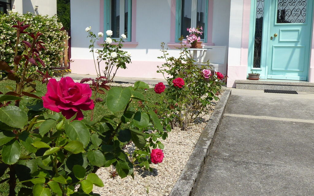 Casa Mis: Autunno, Estate, Giardino, Primavera