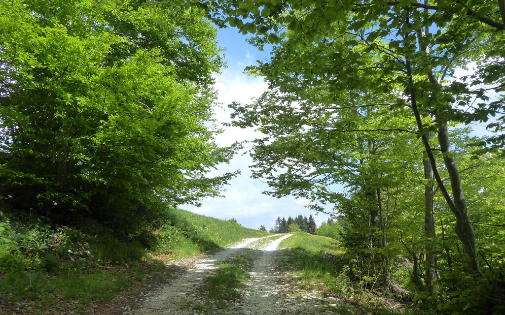 Casa Mis: all'aperto, Autunno, Estate, Esterni, Primavera