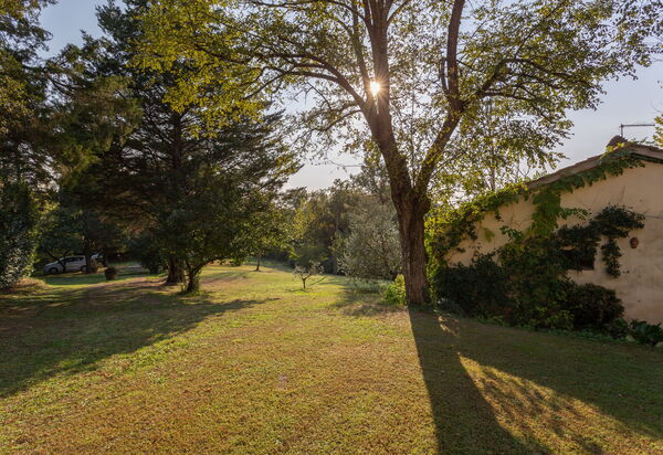 Podere Le Capannucce: Garden