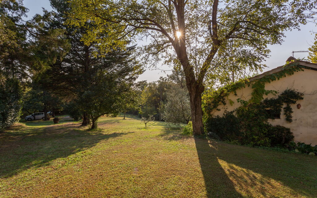 Podere Le Capannucce: Garden