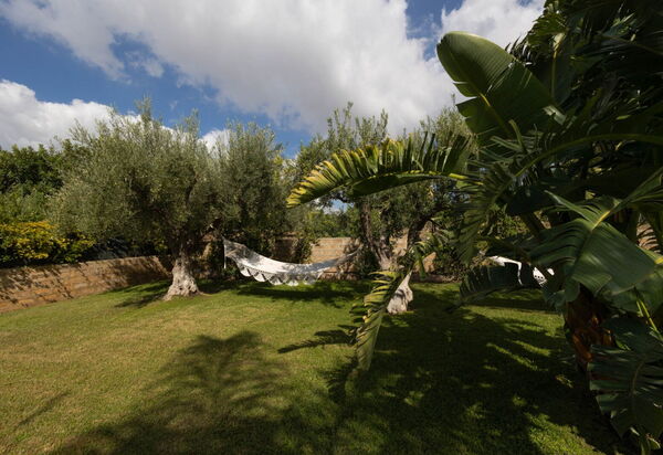 Villa Don Pino: Autunno, Estate, Giardino, Primavera