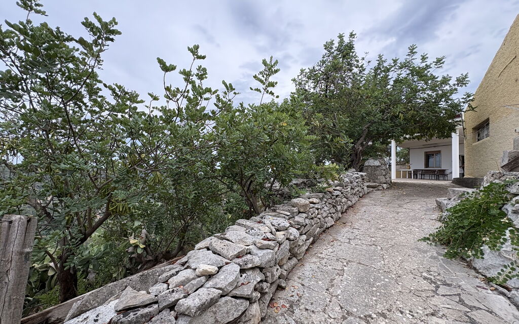 Casale Nardi: Autunno, Balcone / Terrazza / Patio, Estate, Giardino