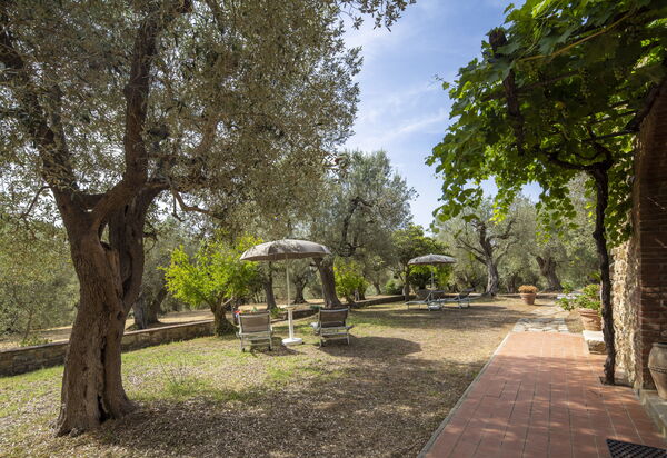 Casale delle Lupe, Campiglia Marittima: Autunno, Estate, Giardino, Primavera