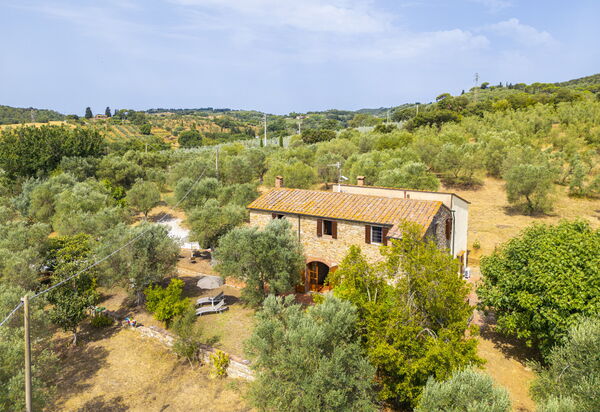 Casale delle Lupe, Campiglia Marittima: Autunno, Estate, Giardino, Primavera