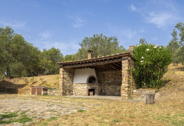 Casale delle Lupe, Campiglia Marittima: Autunno, Estate, Giardino, Primavera