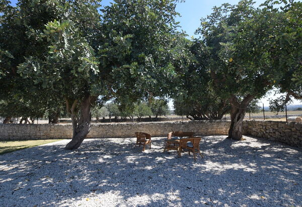 La Muraglia: Autunno, Estate, Giardino, Primavera