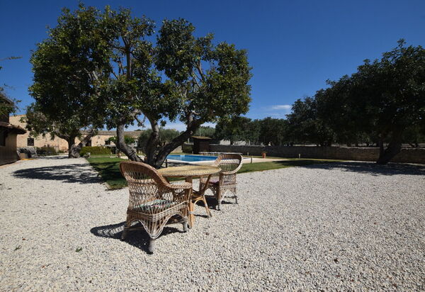 La Muraglia: Autunno, Estate, Giardino, Piscina, Primavera