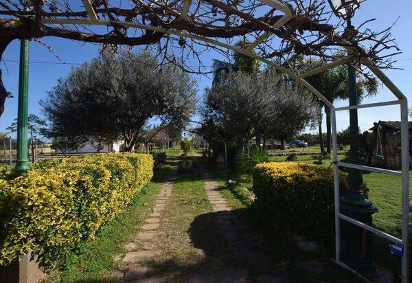 Villa Gertrude: Autunno, Estate, Giardino, Primavera