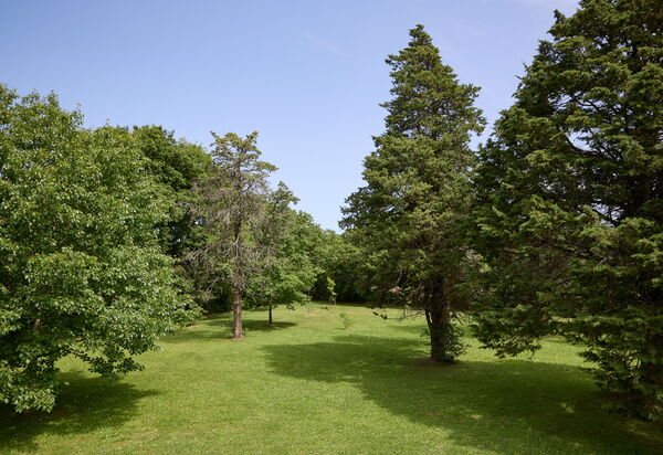 Casa Mancini, Holiday Villa, San Galgano: Autumn, Garden, Spring, Summer